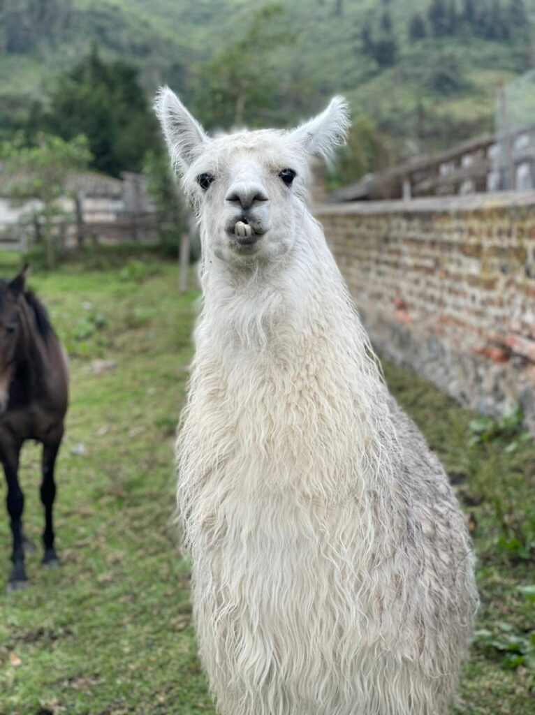 73fc8f80 889c 430f ac48 630abda329a0