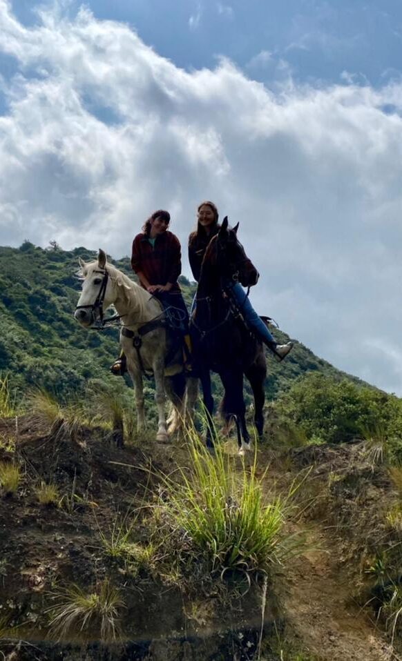 b764c34b cb3f 4ecc 9059 1e3e2866805a