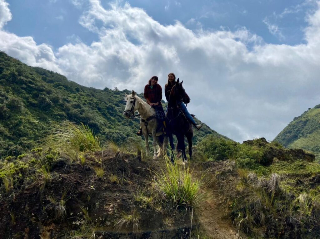 b764c34b cb3f 4ecc 9059 1e3e2866805a